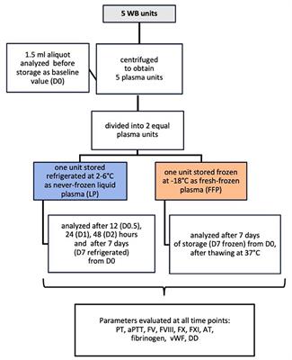 Hemostatic Activity of Canine Never-Frozen Liquid Plasma Collected for Transfusion